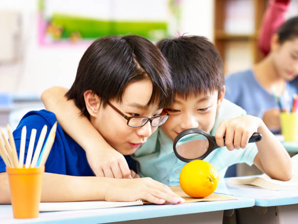 Two boys examine an orange with a magnifying glass in a classroom.